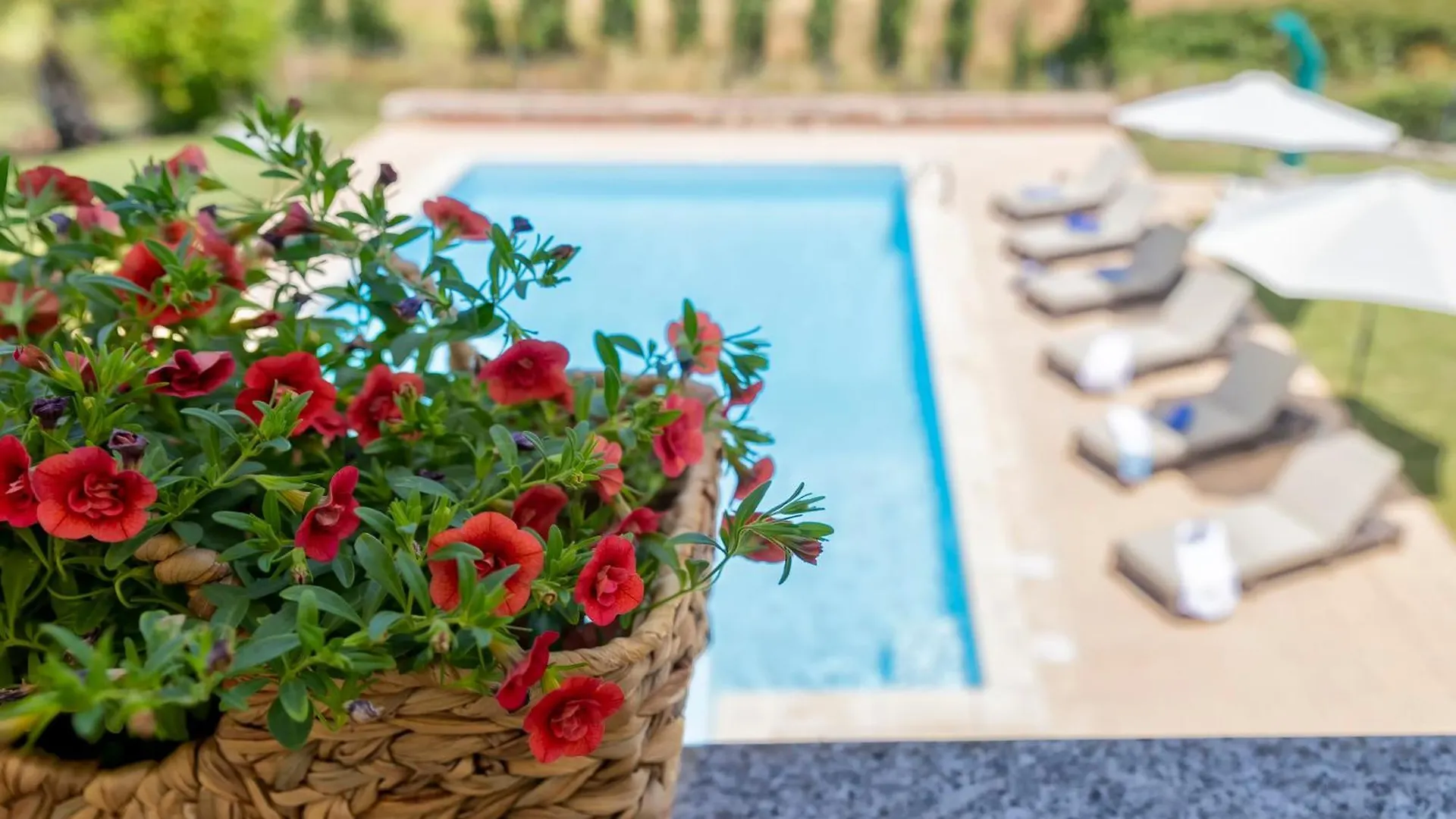 Villa Con Piscina - Alghero - “Villa Elena”
