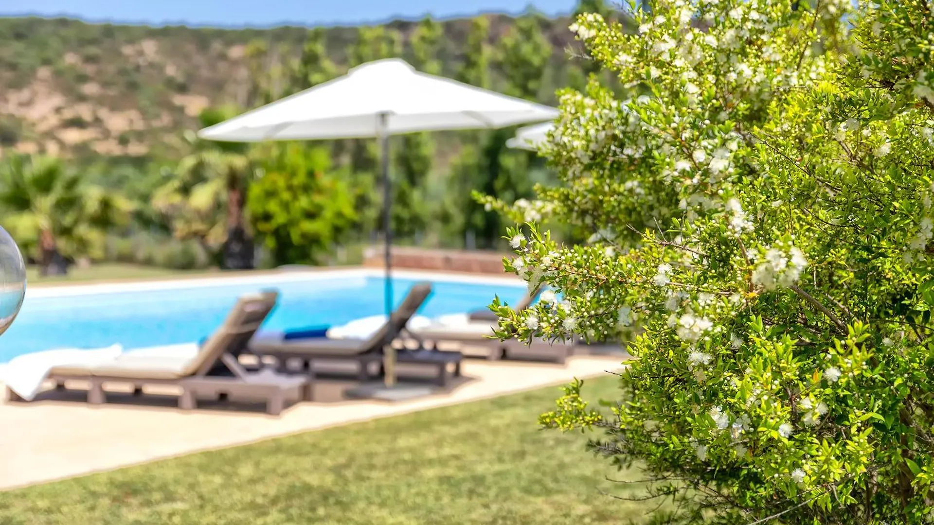 Villa Con Piscina - Alghero - “Villa Elena”